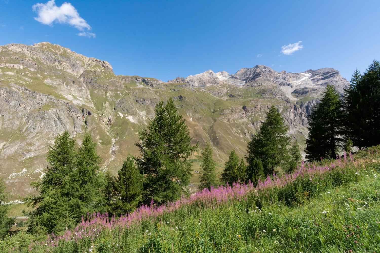 Réserve naturelle nationale de la Bailletaz