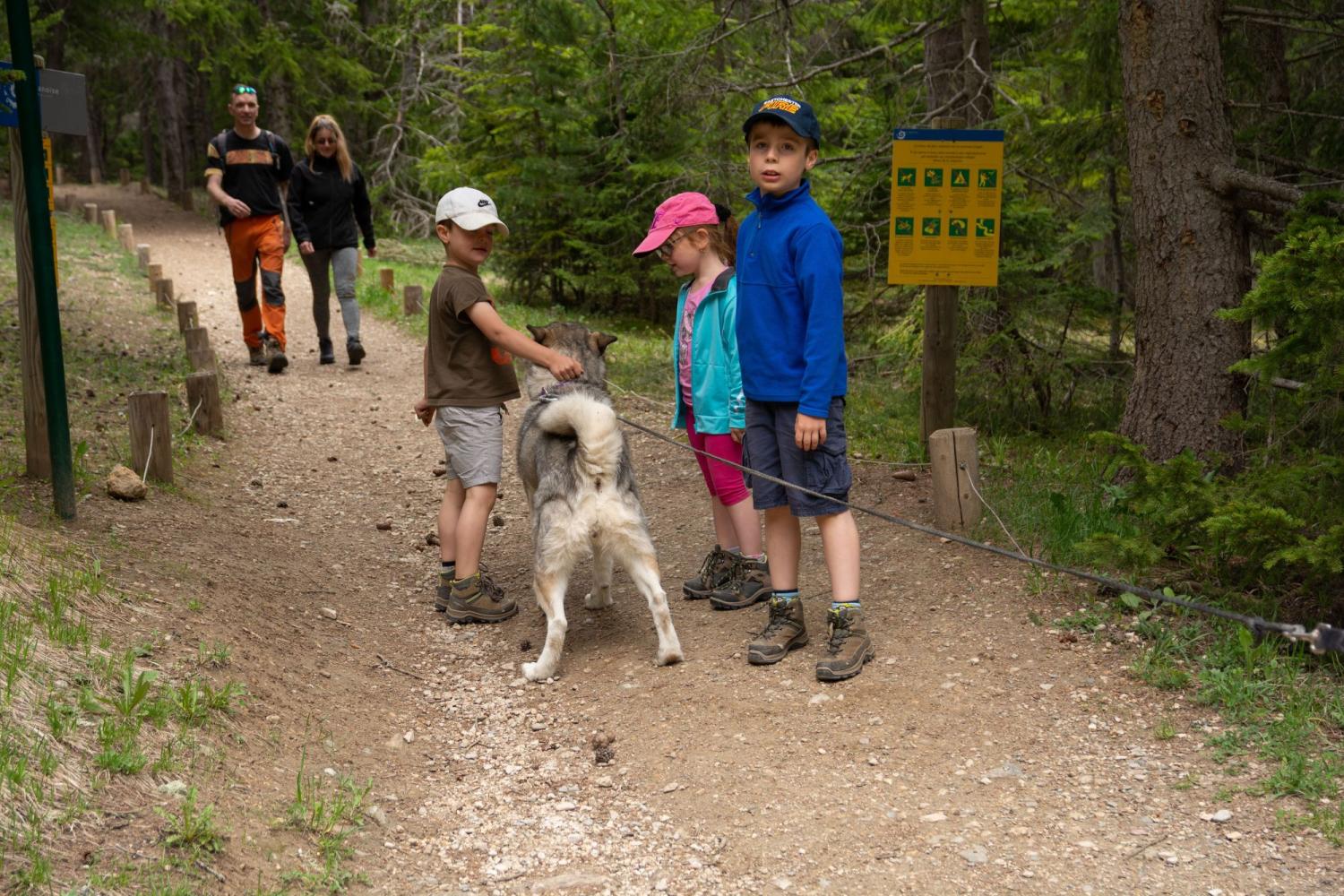 Chien Parc national Vanoise