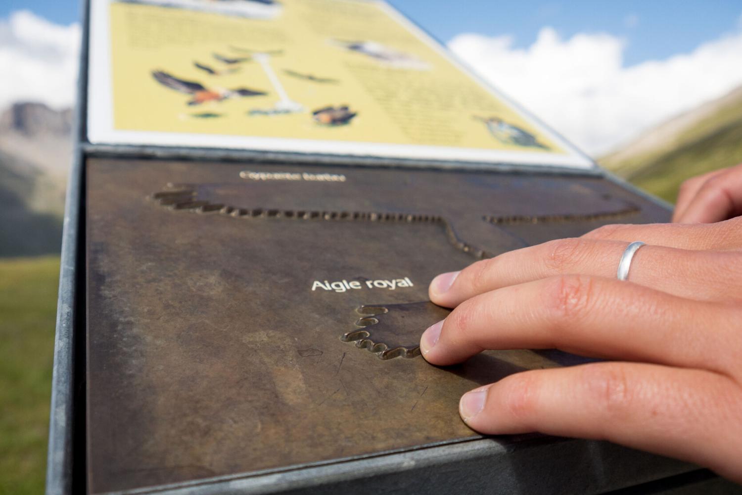 Image1 TACTILE
