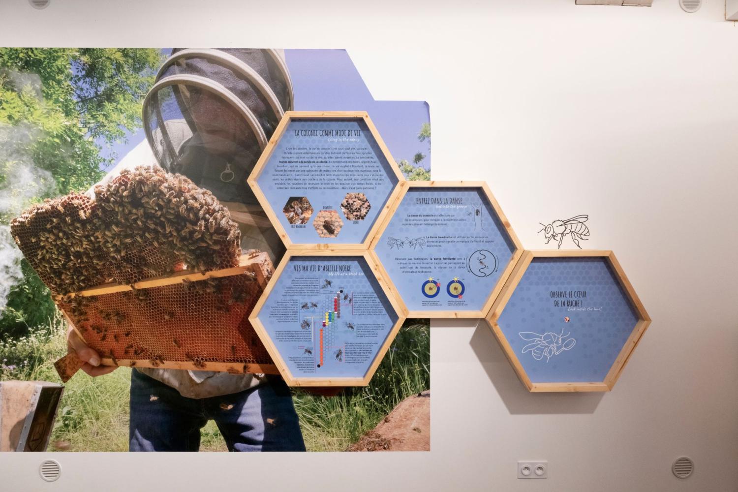 Maison de l'abeille noire et de la nature