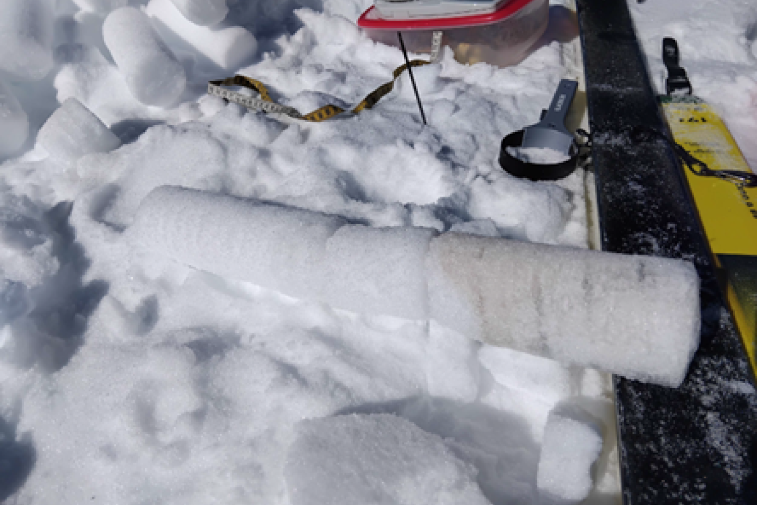 Carotte de glace glacier Gébroulaz - sondage mai 2025