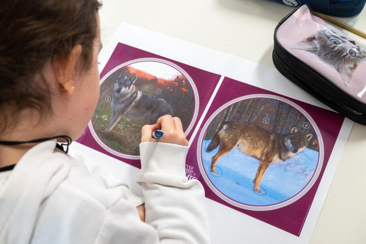 Une écolière réalisant un exercice sur table