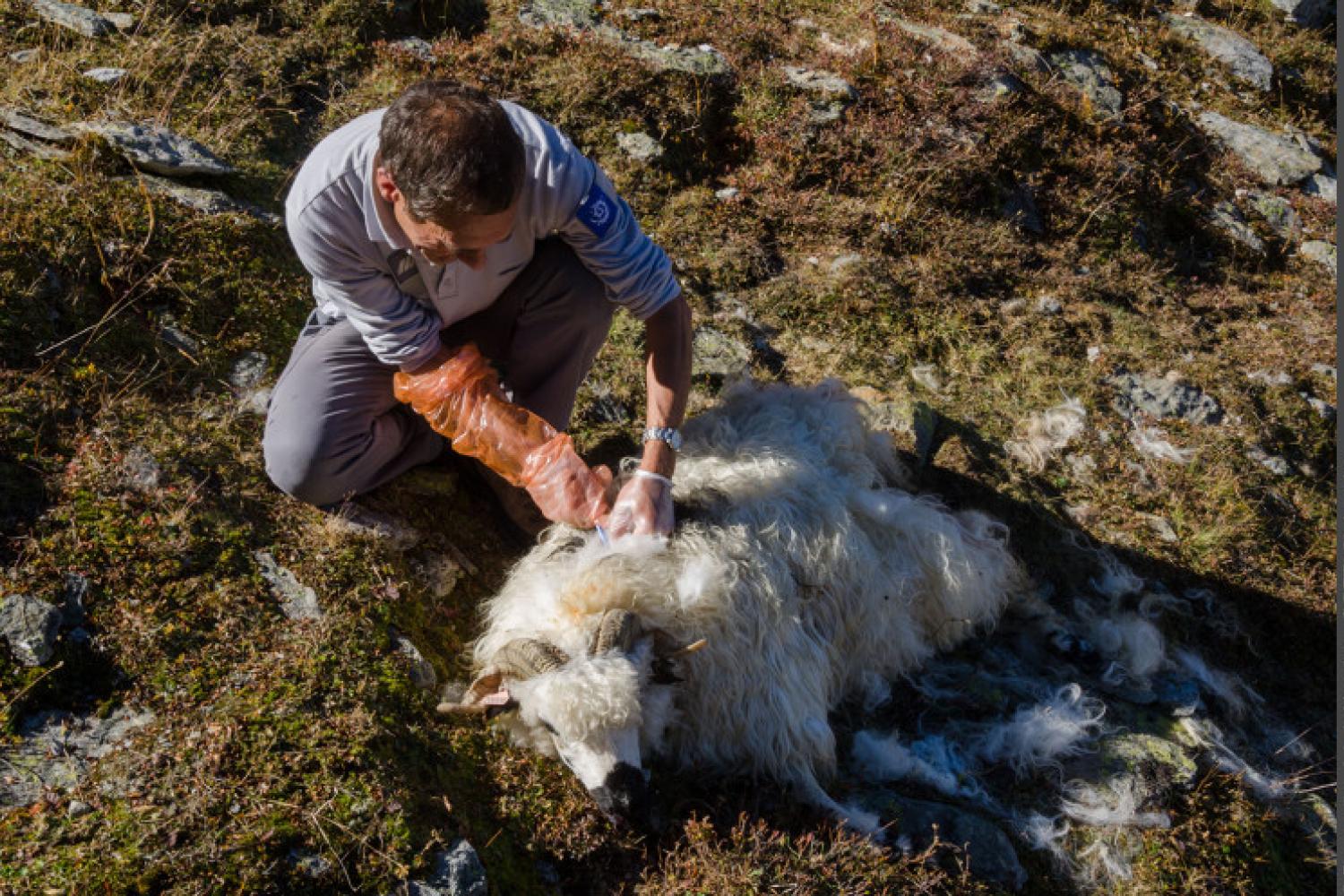 3pnv016745-pn-vanoise-gotti_christophe-750px.jpg