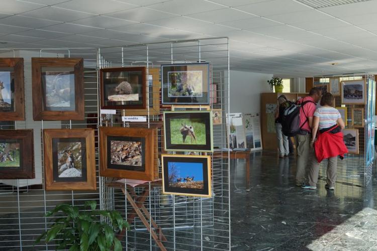 La Maison franco-italienne du Mont Cenis, lieu d'information et d'exposition - La Maison franco-italienne du Mont Cenis, lieu d'information et d'exposition