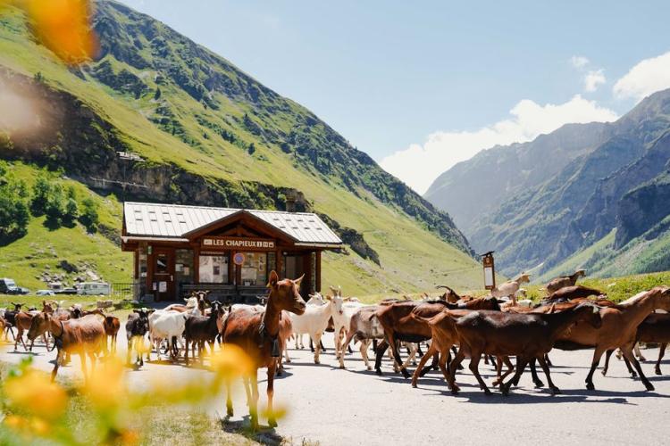 Les Chapieux - Office de tourisme