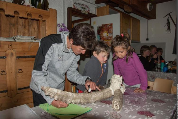 Point-rencontre au refuge du Plan du Lac à Val Cenis-Termignon - Un garde du parc montre des cornes de bouquetin à une enfant