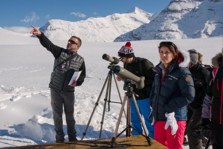 Point rencontre - Découverte de la faune en hiver - Le Villaron_Bessans - Observation de la faune