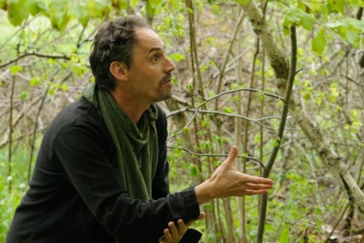 Pêcheur d'Oiseaux