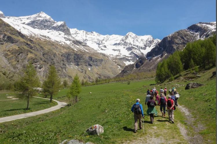 Vallon de Rosuel - Vallon de Rosuel