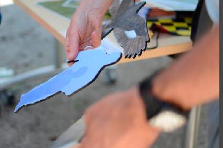 Silhouettes de rapaces - Silhouettes de rapaces