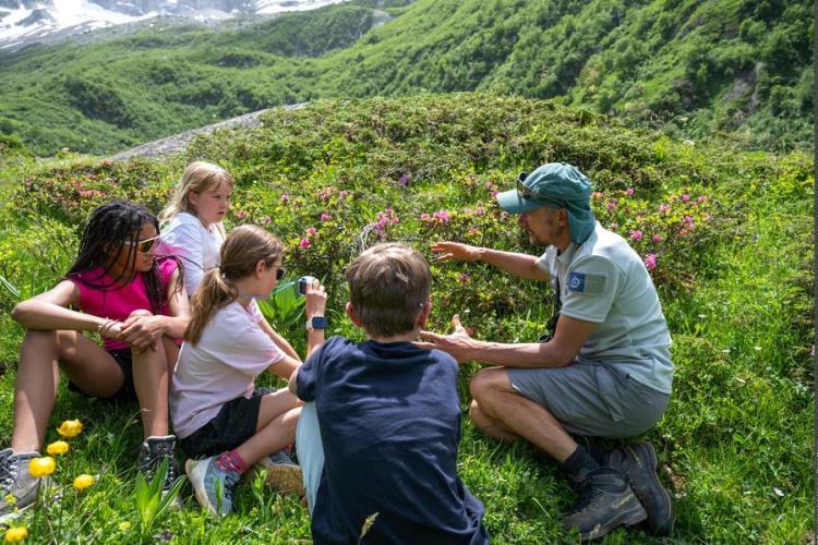Jeu de pîste sur les traces des espèces emblématiques de la Vanoise_Bonneval-sur-Arc