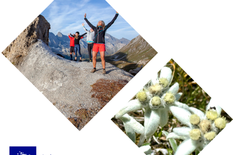 Photo paysage - Balade botanique et bien-&ecirc;tre zen - Photo paysage - Balade botanique et bien-&ecirc;tre zen