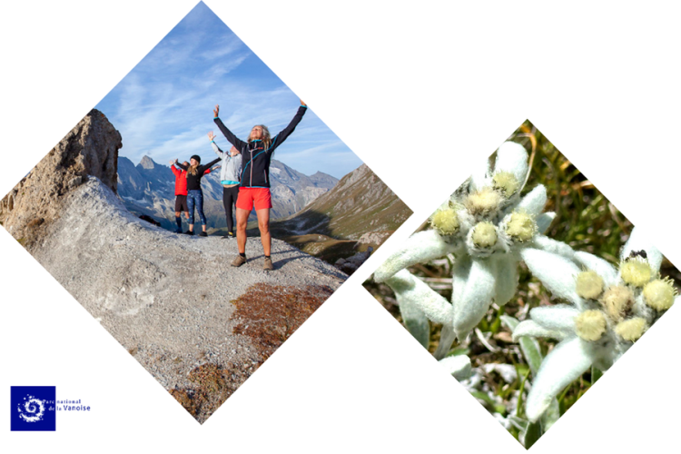 Photo portrait - Balade botanique et bien-&ecirc;tre zen - Photo portrait - Balade botanique et bien-&ecirc;tre zen