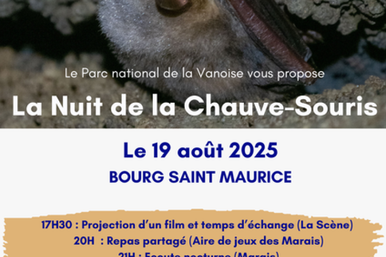 La nuit des chauve-souris : projection puis observation_Bourg-Saint-Maurice - La nuit des chauve-souris