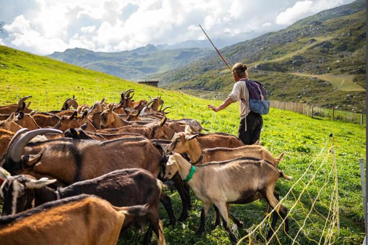Exposition "Le Pastoralisme en Vanoise"_Aussois