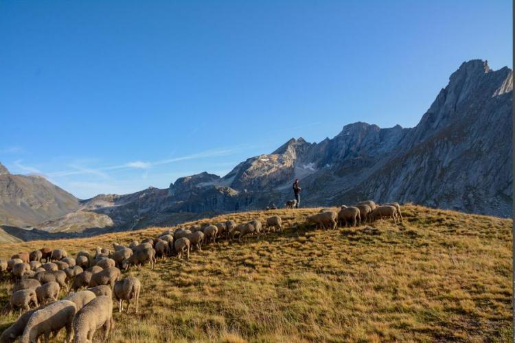 Exposition "Le Pastoralisme en Vanoise"_Aussois