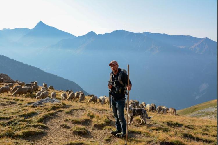 Rencontres pasto_Val-Cenis - PARC NATIONAL VANOISE