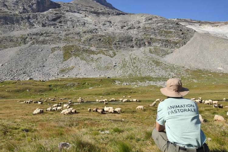 Rencontres pasto_Pralognan-la-Vanoise - PN VANOISE