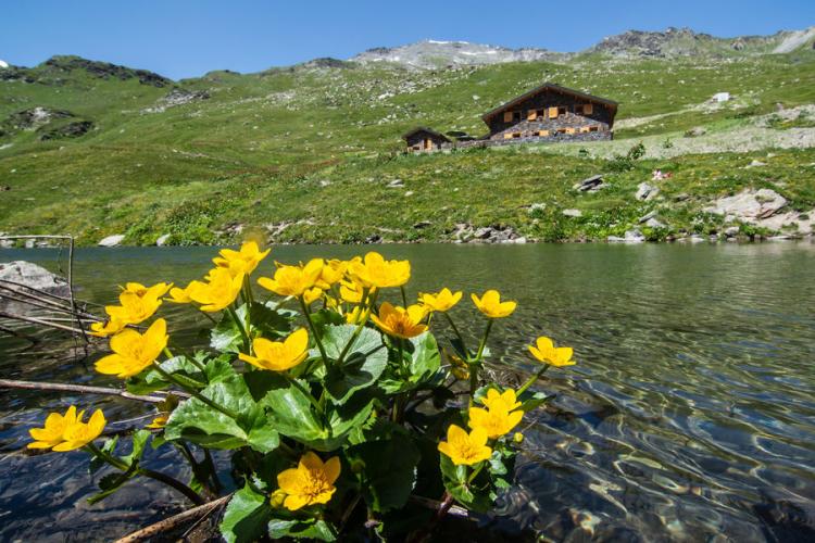 Lac du lou - Lac du lou