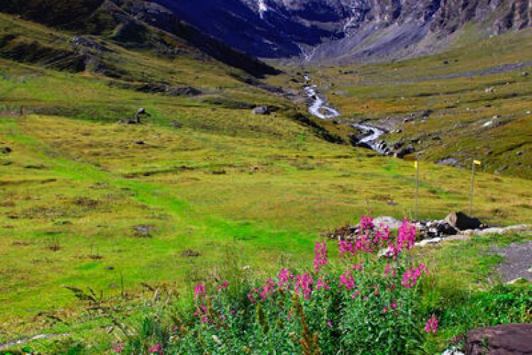 Refuge Mario Bezzi Parc national de la Vanoise