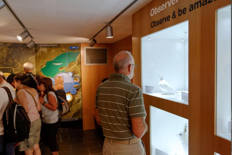 La Maison du Parc à Pralognan-la-Vanoise (exposition) - La Maison du Parc à Pralognan-la-Vanoise (exposition)