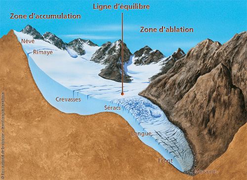 Schéma d'un glacier